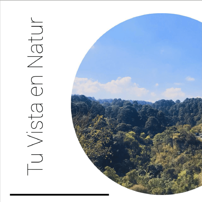 Image Title My Image